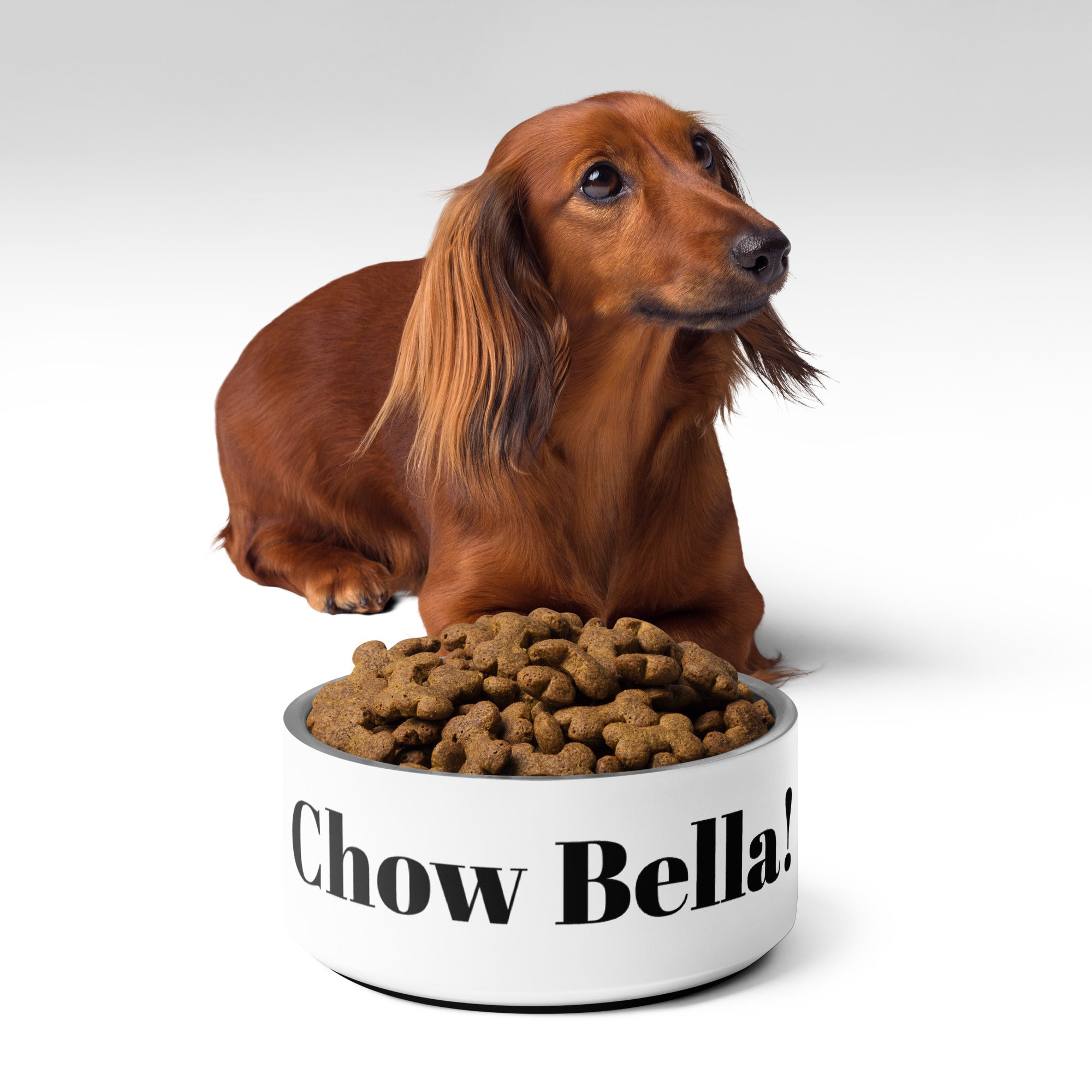 Chow Bella Dog Pet bowl