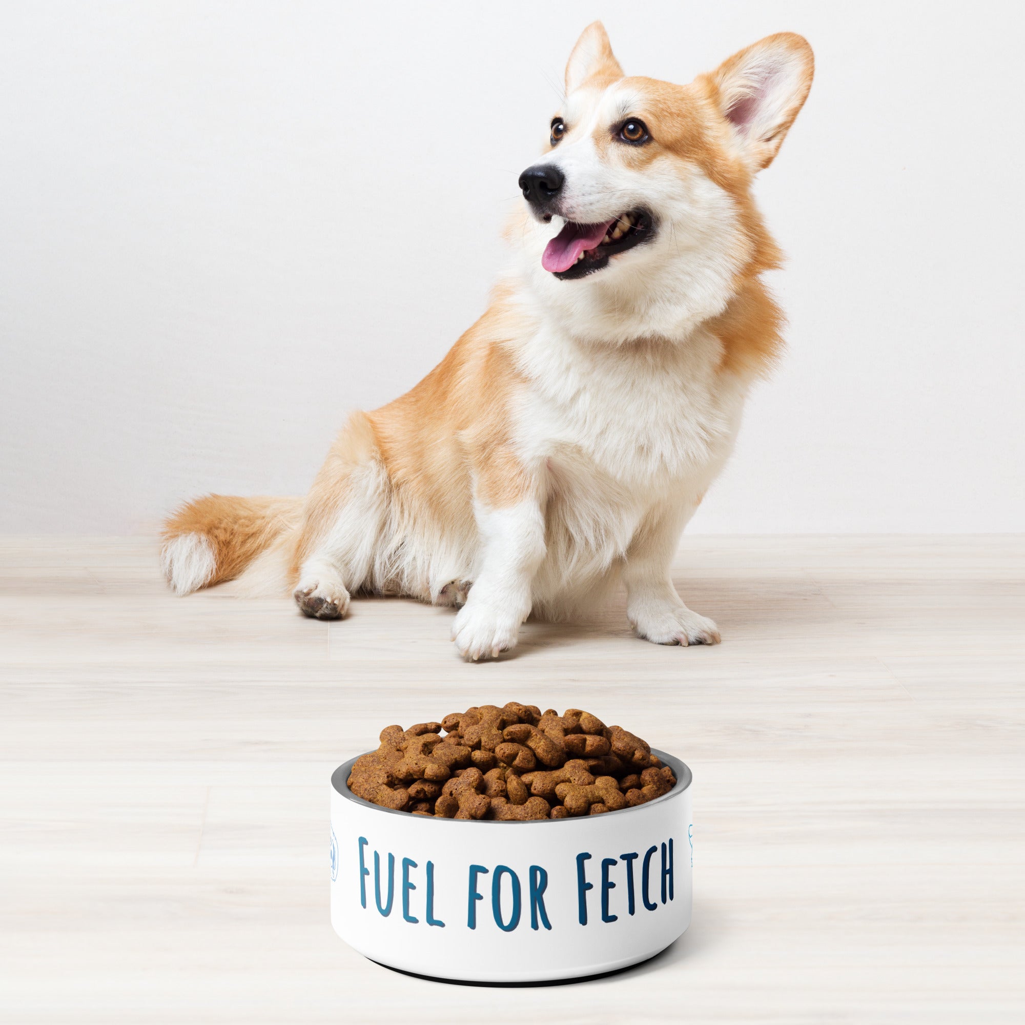 Fuel for Fetch Pet bowl