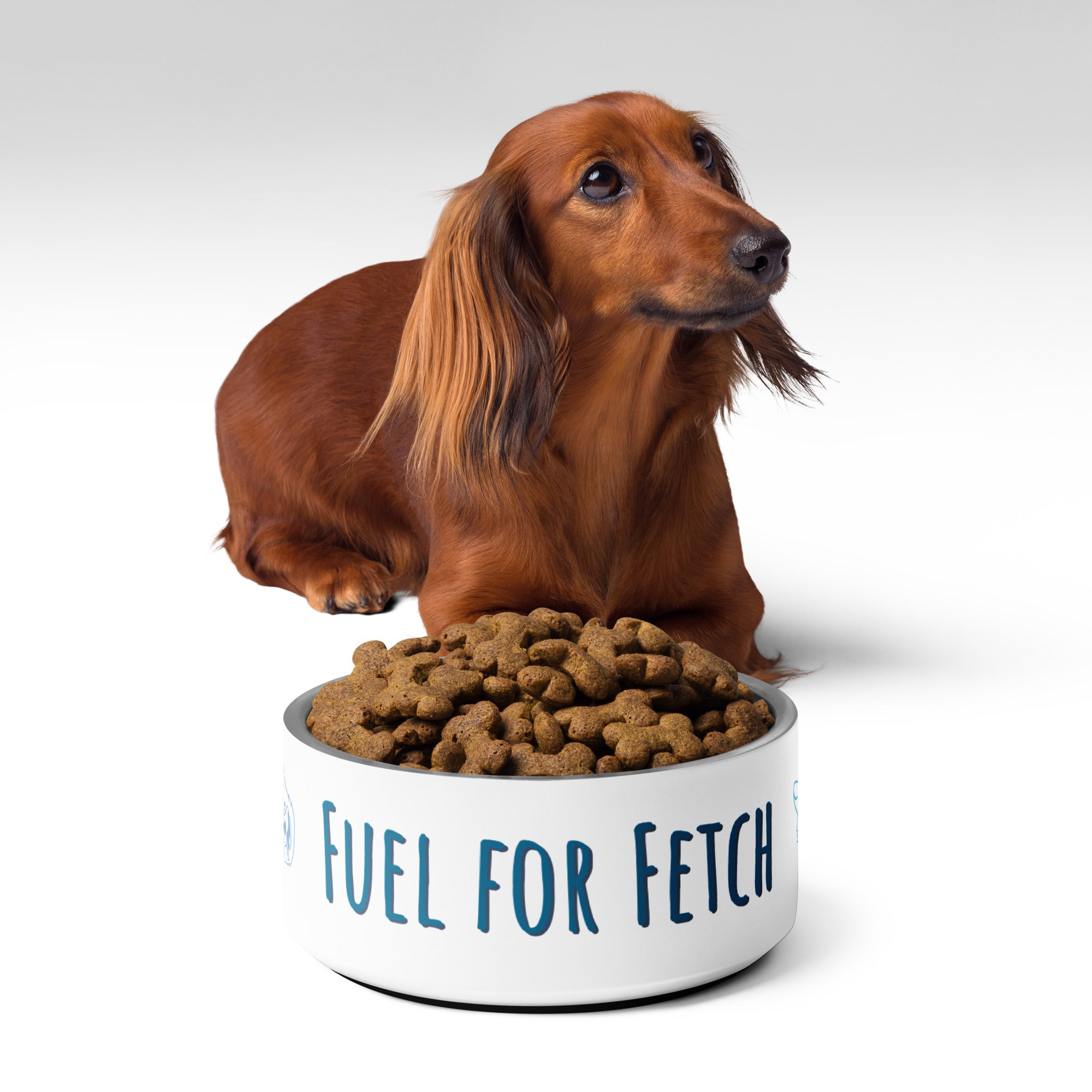 Fuel for Fetch Pet bowl