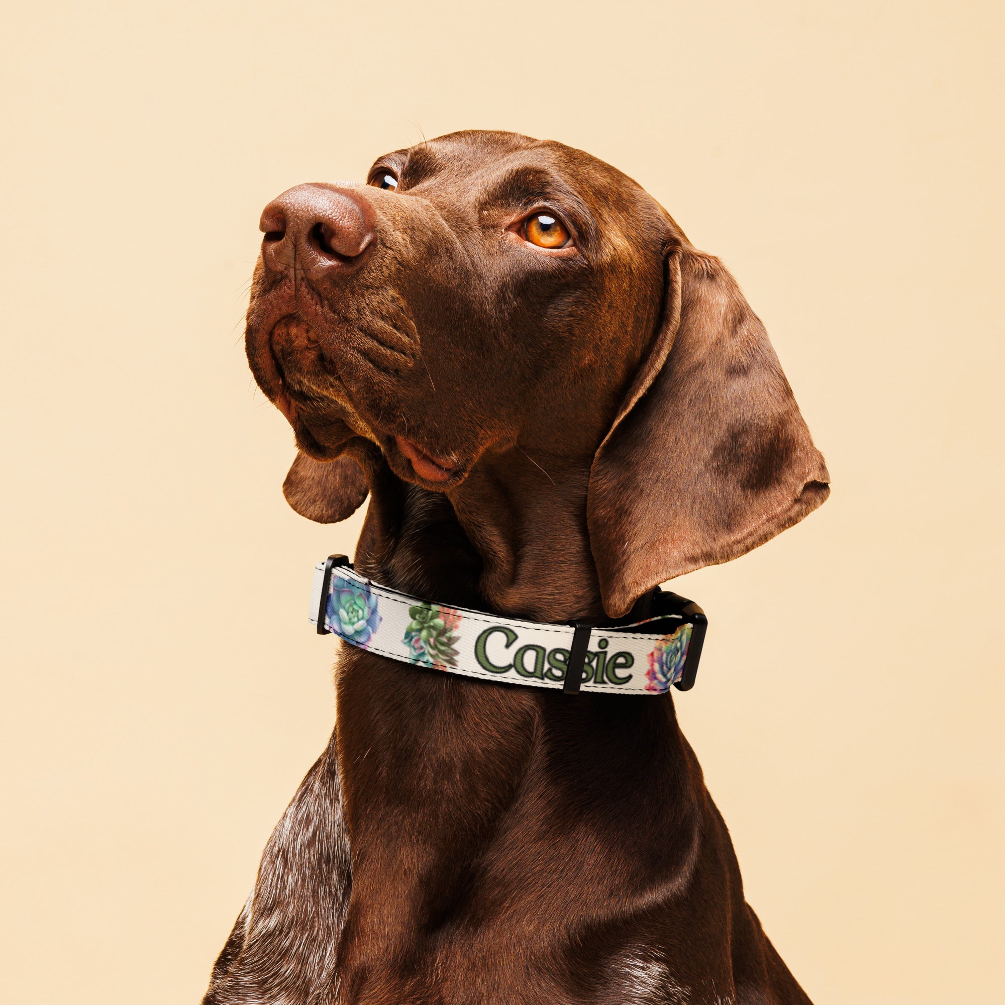 Succulents Personalized Pet collar