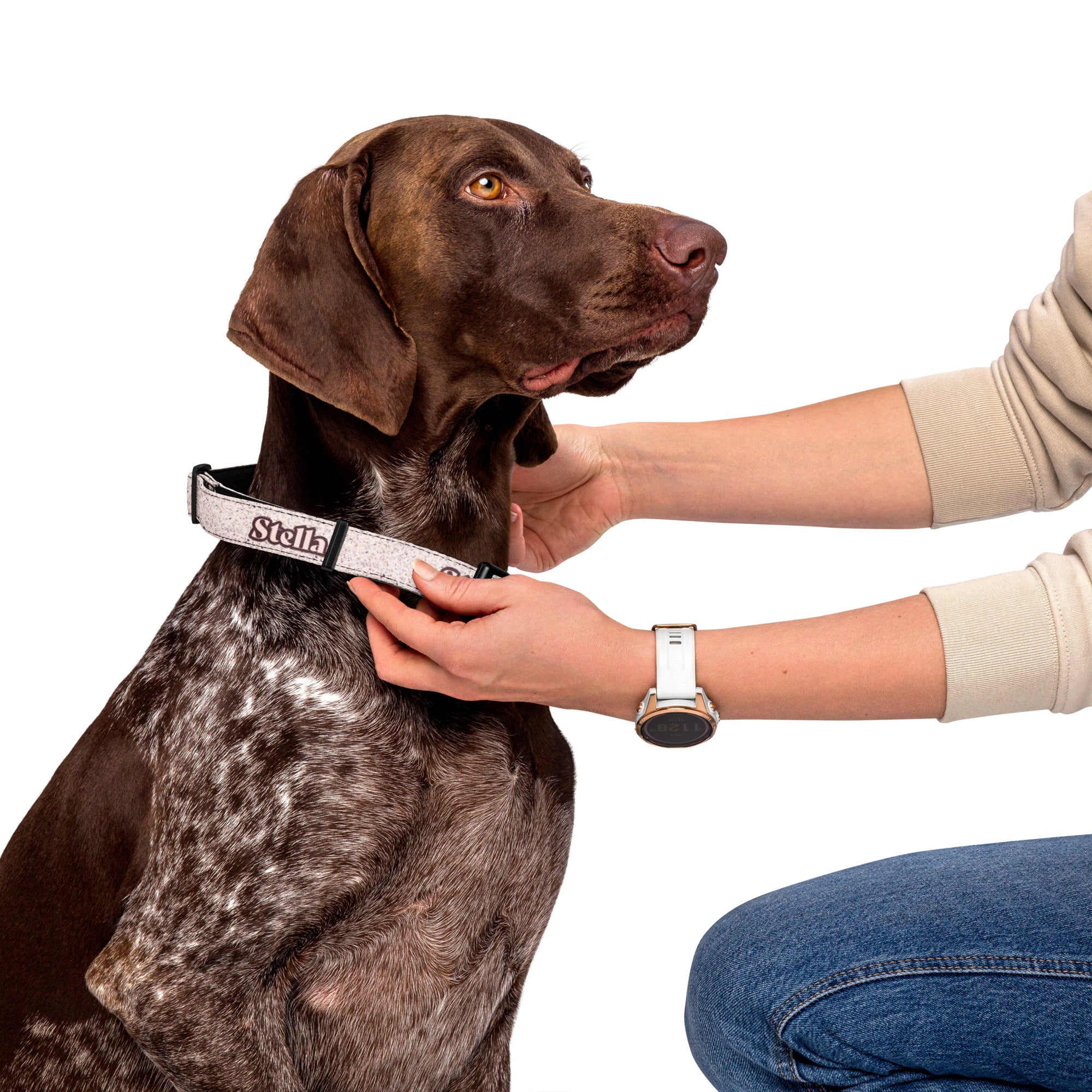 Pink Granite Personalized Pet collar