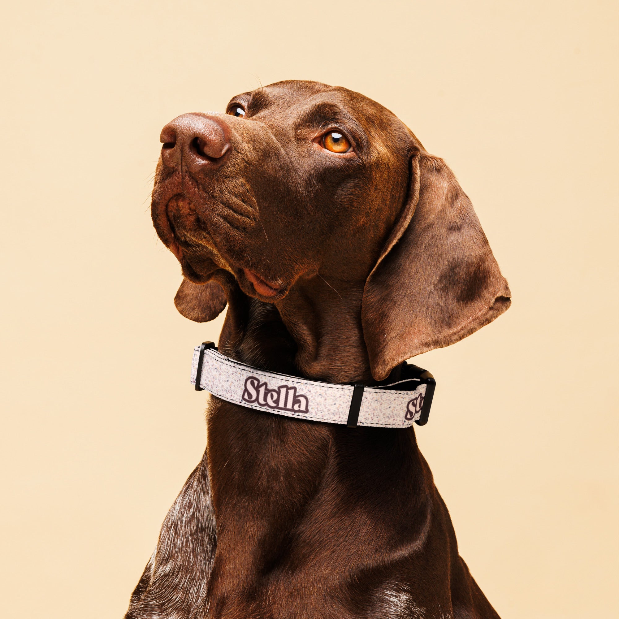 Pink Granite Personalized Pet collar