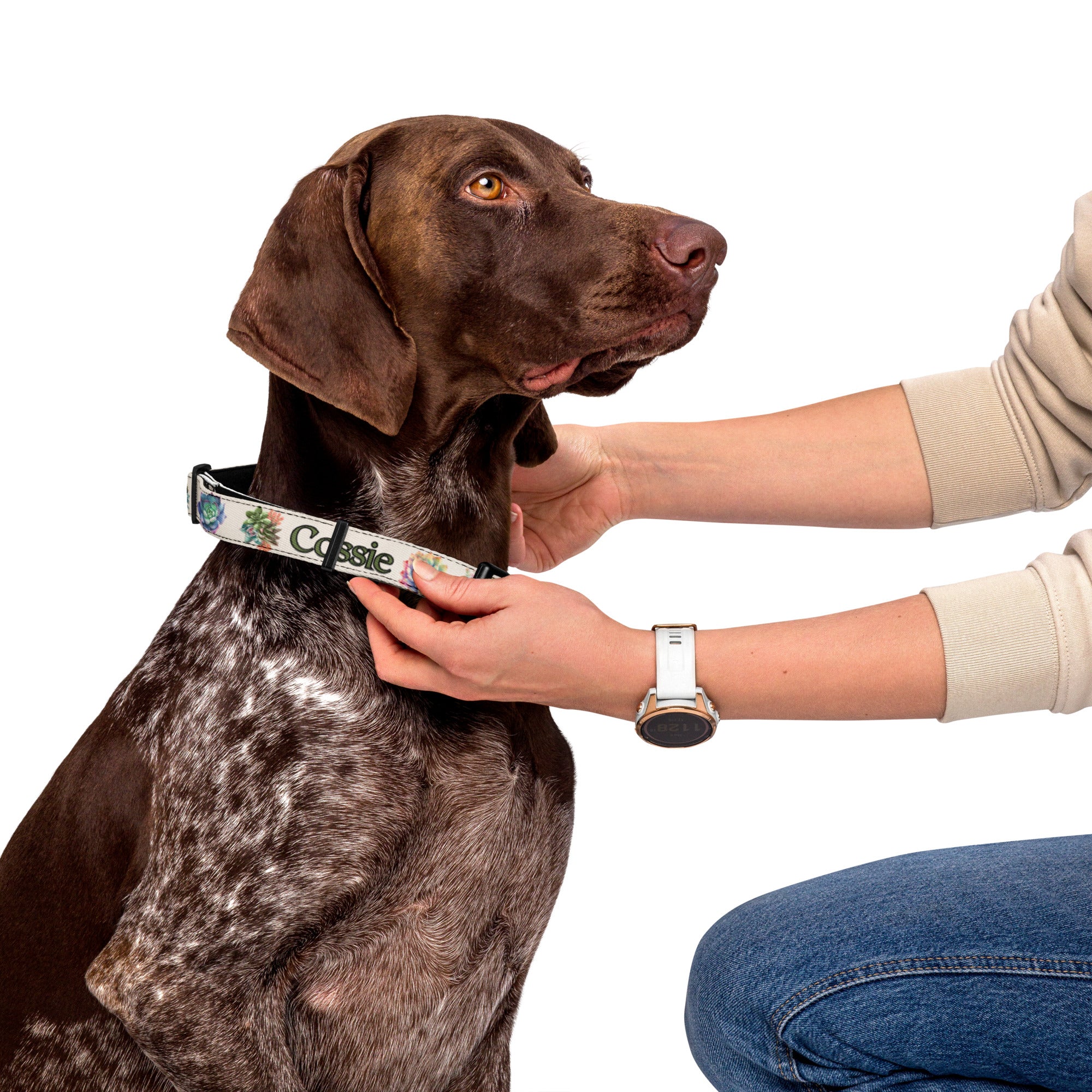 Succulents Personalized Pet collar